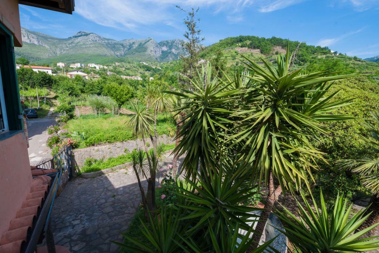 Belvedere Di Gloria Tramonti Εξωτερικό φωτογραφία